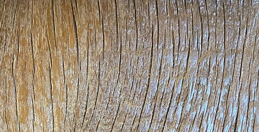 Imagem de madeira semi r&uacute;stica